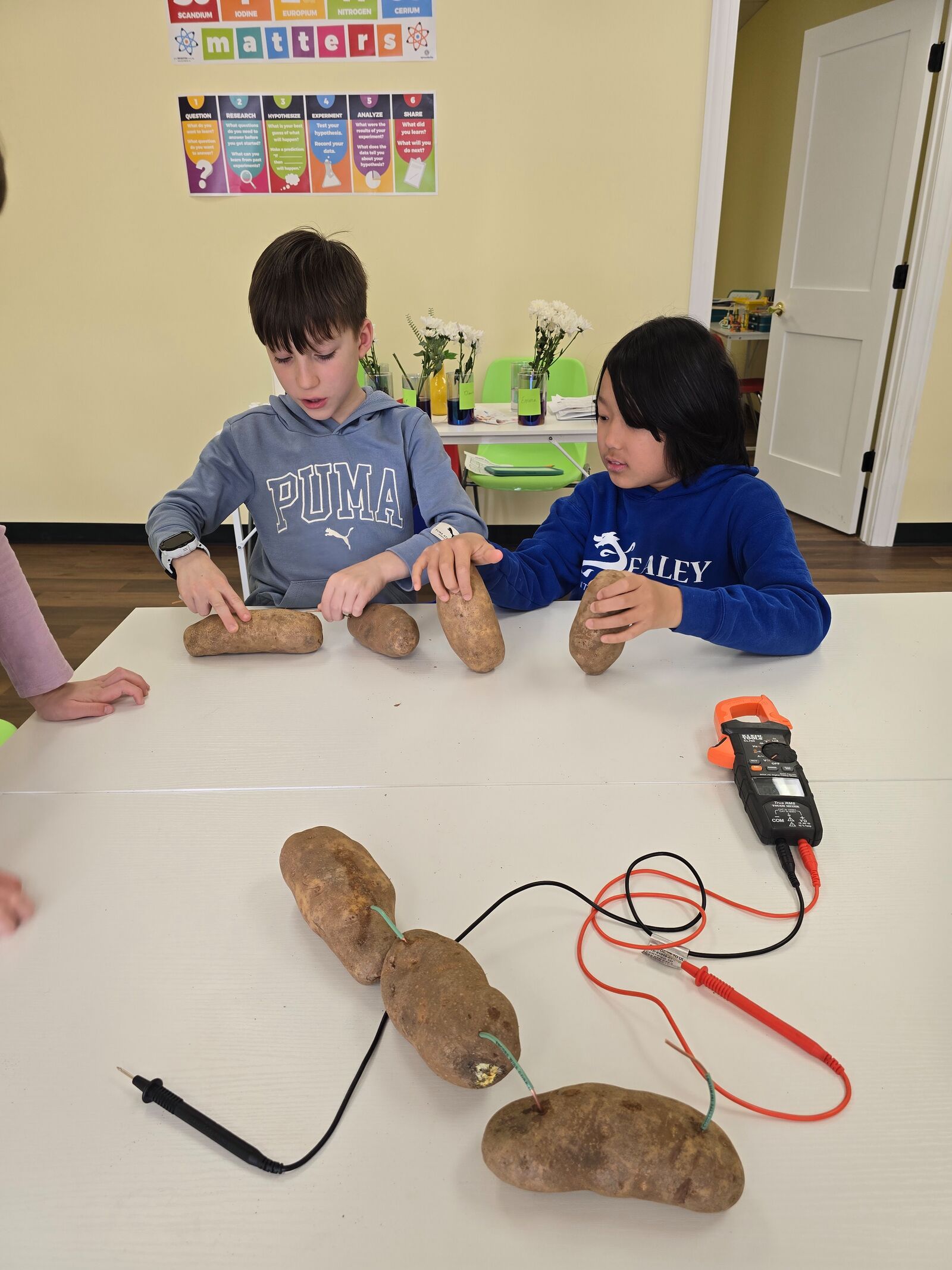 Students testing a potato battery with a multimeter